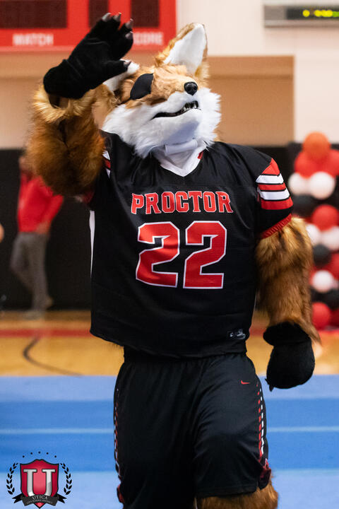 Image 22 of 79