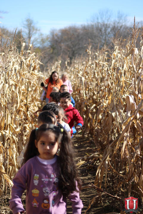 تصویر 63 از 77