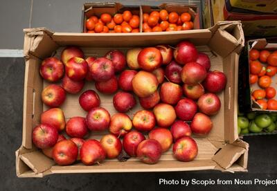 Top View Of Red Apples In Brown Crate by Scopio from NounProject.com