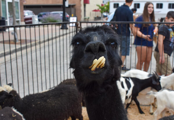 Special Needs Hour Brings Smiles to Oktoberfest/Fall Festival