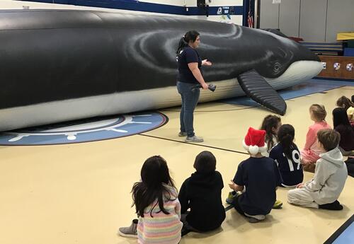 65-foot inflatable whale