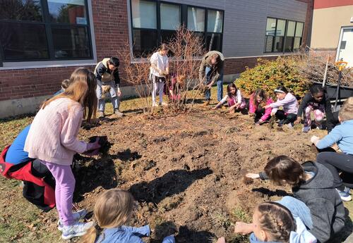 Children kneeling beside a 12 X 12 square garden plot digging in the soil.