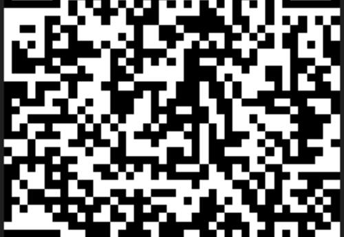 QR Code (Parent Survey)