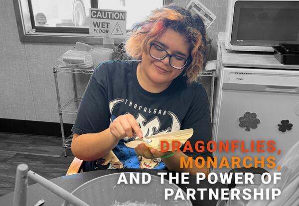 Dragonflies, Monarchs, and the Power of Partnership