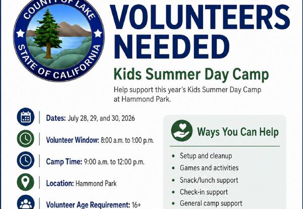 Volunteers needed for kids summer day camp flyer