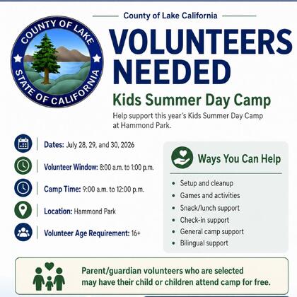 Volunteers needed for kids summer day camp flyer