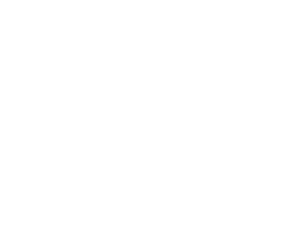 MCHS Bulldog