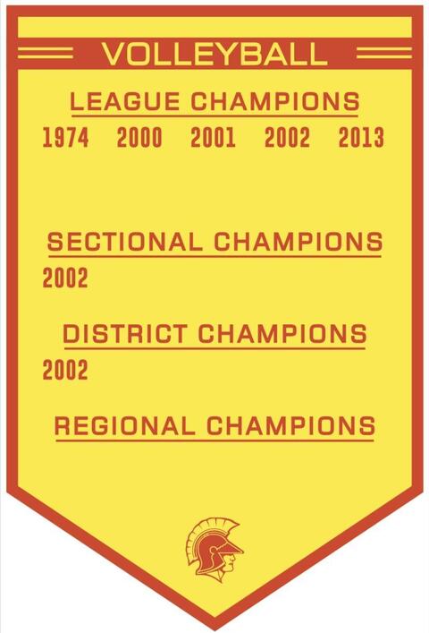 Volleyball League Champion Years