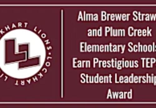 Alma Brewer Strawn and Plum Creek Elementary Schools Earn Prestigious TEPSA Student Leadership Award