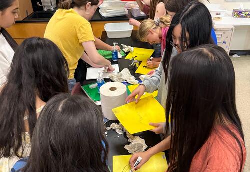 A look back at how the D64 Green Team gave back last school year