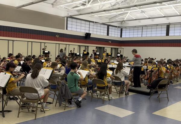 D64 students perform at the Orchestra Clinic at Emerson Middle School