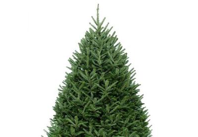 Welcome to Saint James Catholic Church Saint James Catholic Church