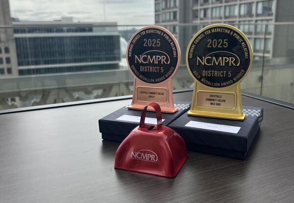 A picture of a Gold Medallion Award in Wild Card category and a Bronze Medallion Award in Novelty category