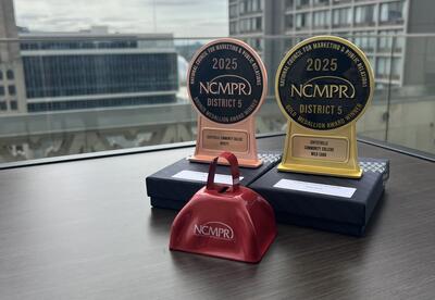 A picture of a Gold Medallion Award in Wild Card category and a Bronze Medallion Award in Novelty category