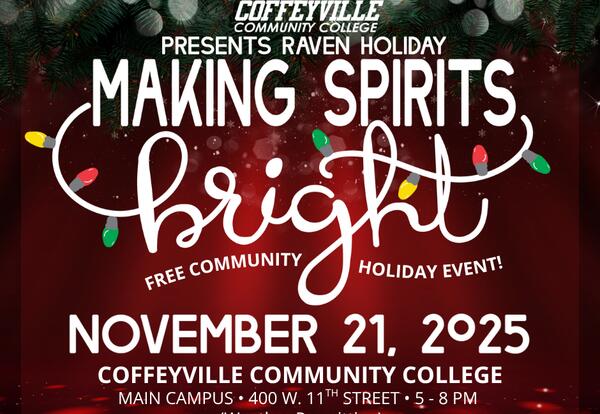 Photo Of Raven Holiday Poster