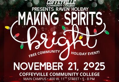 Photo Of Raven Holiday Poster