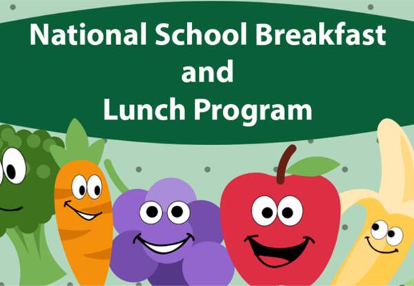 national school lunch program participation