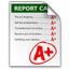 report caerd icon