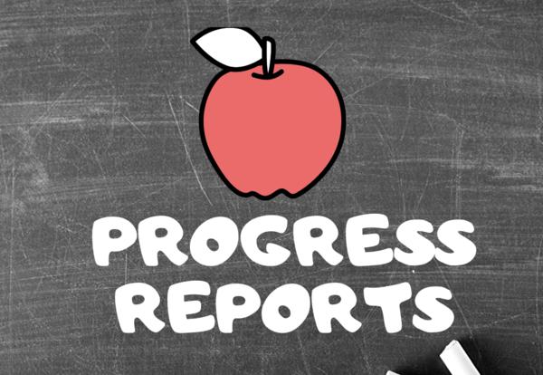 Progress Reports Info