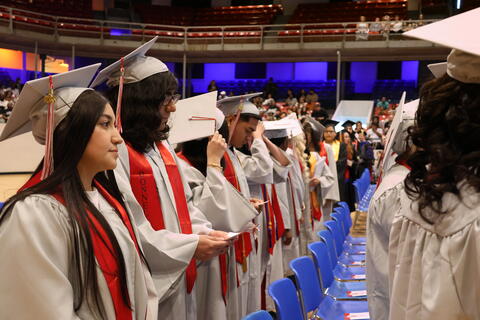 Image 12 of 204