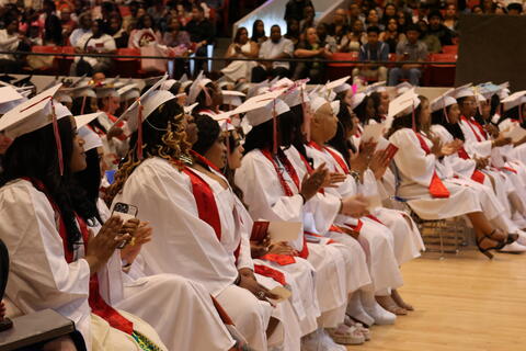 Image 13 of 204