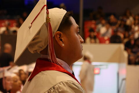 Image 15 of 204