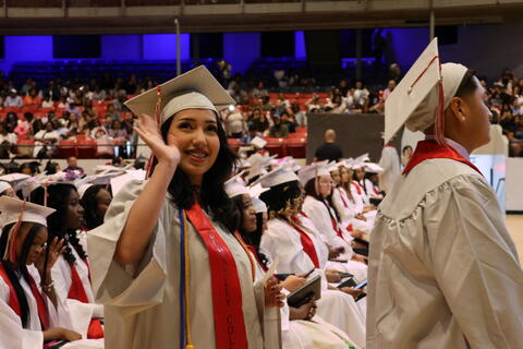 Image 16 of 204