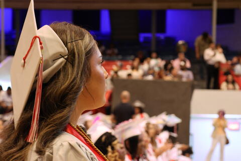 Image 17 of 204