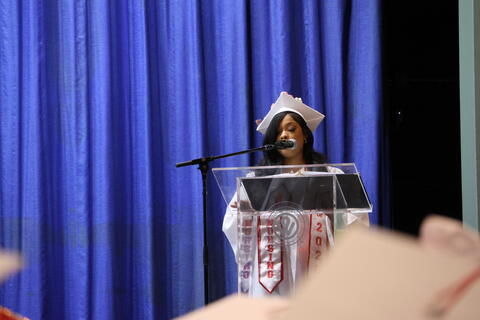 Image 45 of 460