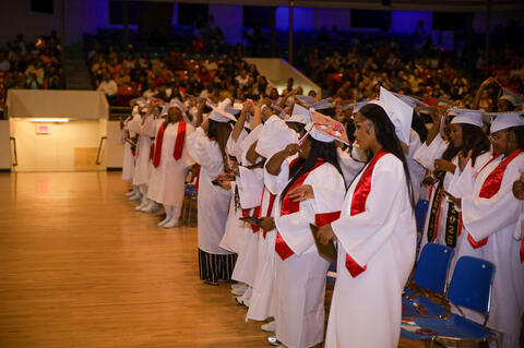 Image 316 of 460
