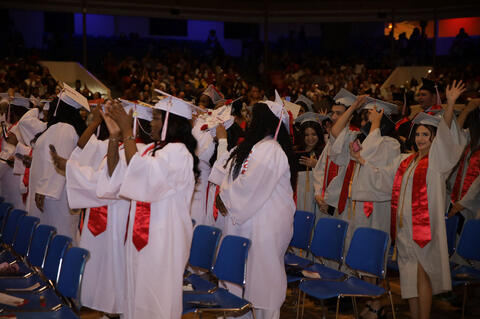 Image 317 of 460