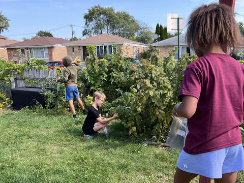 Image 15 of 24