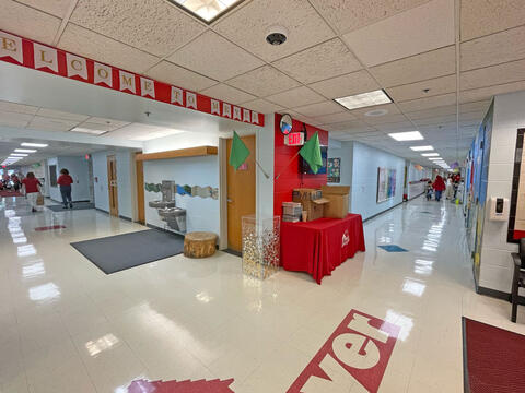 Image 13 of 17