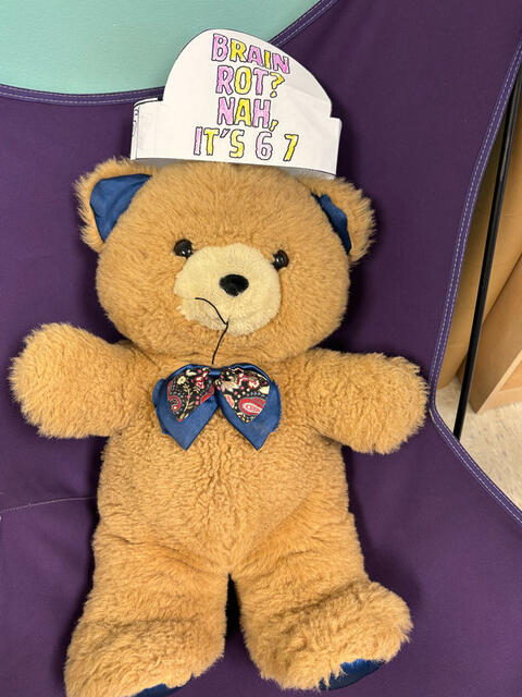 photo of stuffy wearing a paper 6 7 day hat