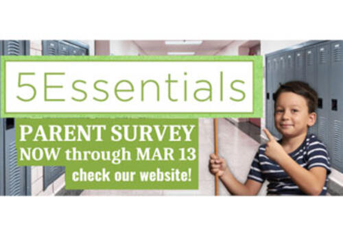 5Essentials Survey badge