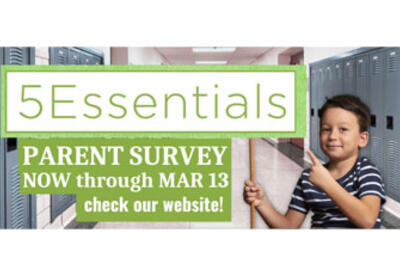 5Essentials Survey badge