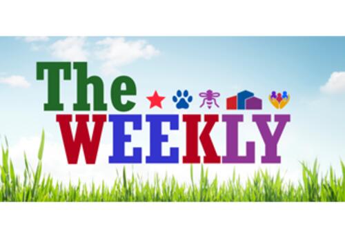 The Weekly badge in spring