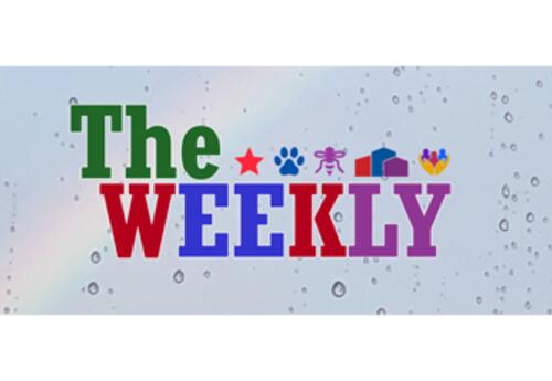 The Weekly badge with rain and rainbow