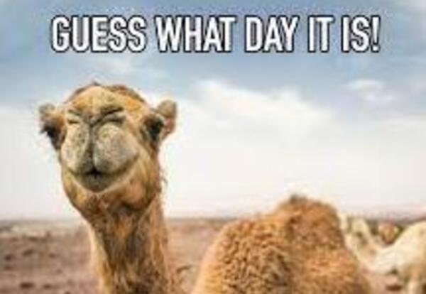 Pulaski High School Daily Announcements Wednesday, September 7, 2022